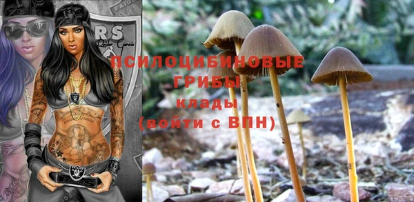 кокс Балабаново